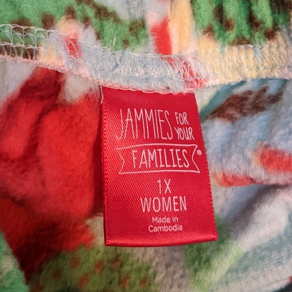 Women's Jammies For Your Families Dino "Rawr to the World" Sleep Set 1X - Picture 3 of 3